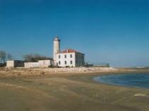 BIBIONE, L'AREA DEL FARO SI TRASFORMA IN UN MUSEO DELLA NATURA A CIELO APERTO